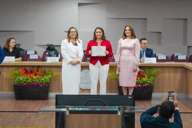 A imagem mostra o palco do plenário do TRE-RN e parte da plateia, com todos de pé, em posição de...