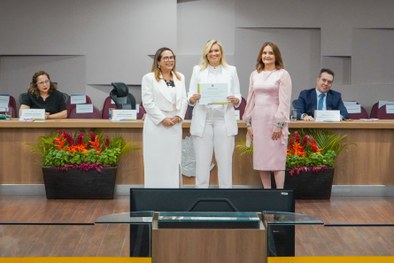 A imagem mostra o palco do plenário do TRE-RN e parte da plateia, com todos de pé, em posição de...